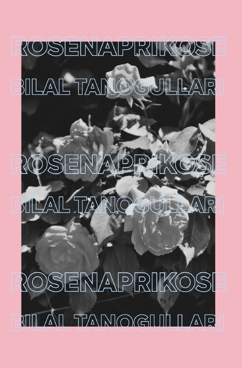 rosenaprikose